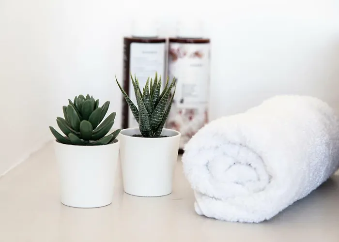 Biatriza's Summer Shelter דירה Fanari (Mykonos)